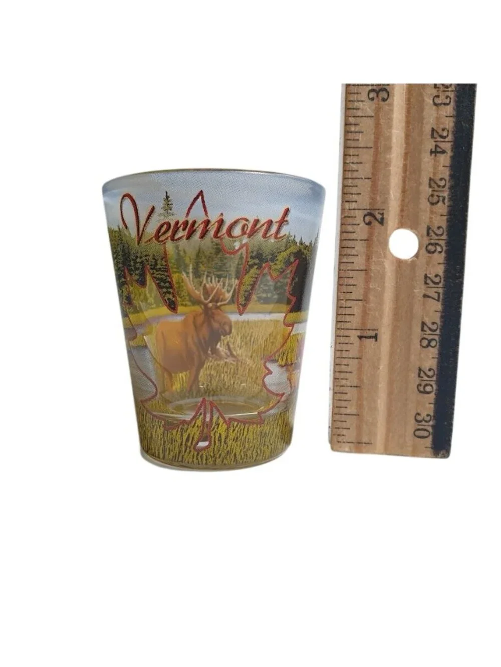 Vermont Moose Souvenir Shot Glass Collectible Maple Leaf Colorful Scenic Artwork